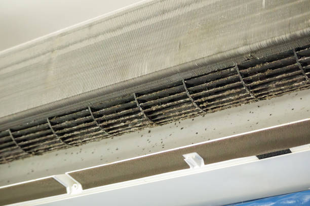 Best Air Duct Cleaning Company Near Me  in Rumson, NJ